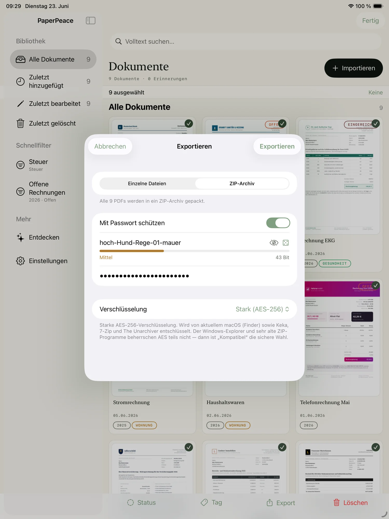 PaperPeace Screenshot
